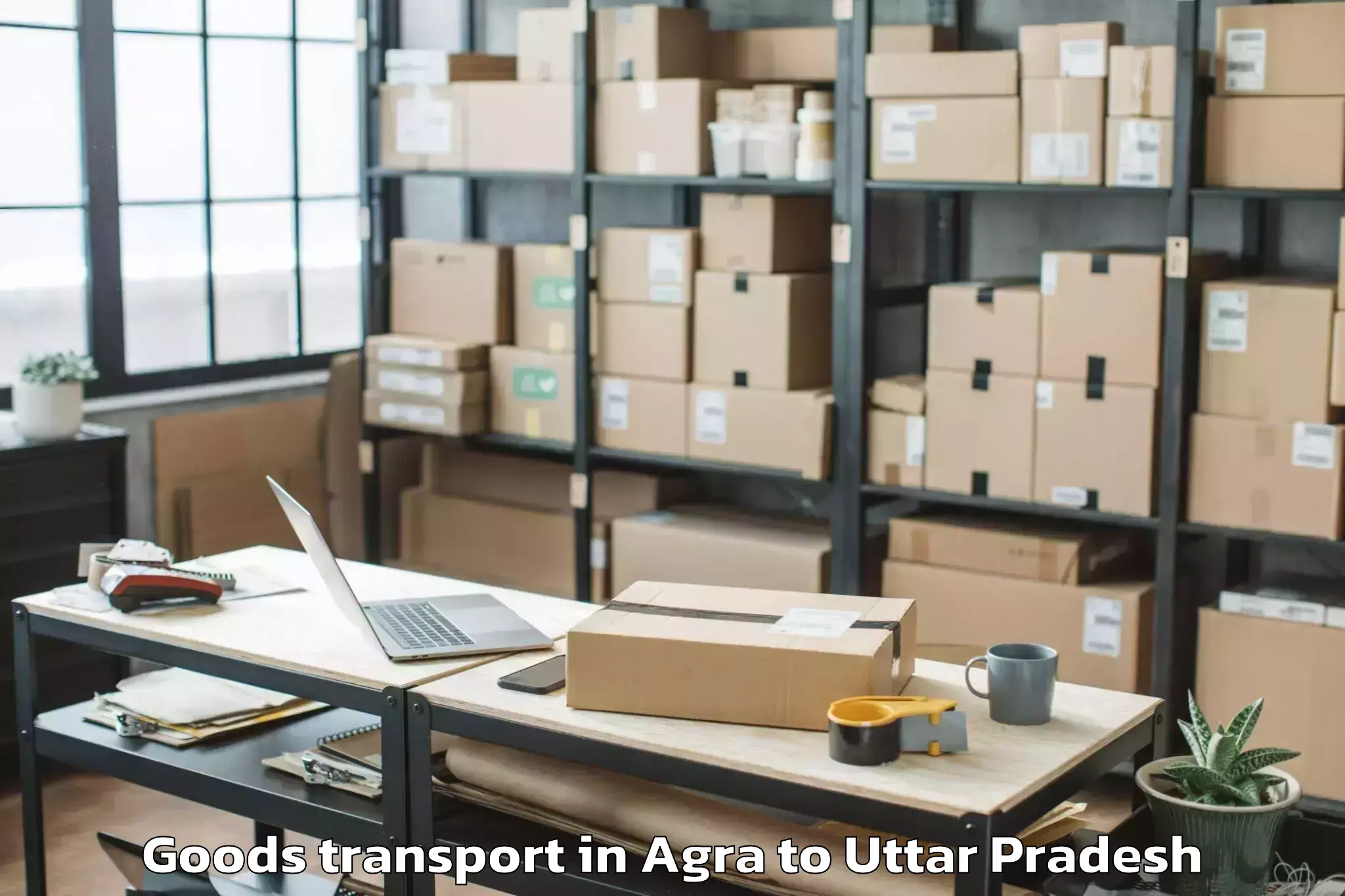 Leading Agra to Abhilashi University Bareilly Goods Transport Provider